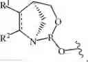 Fig. 53 - Chiral phosphoramidite auxiliaries and methods of their use