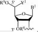 Fig. 79 - Chiral phosphoramidite auxiliaries and methods of their use