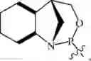 Fig. 93 - Chiral phosphoramidite auxiliaries and methods of their use