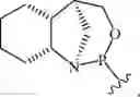 Fig. 94 - Chiral phosphoramidite auxiliaries and methods of their use