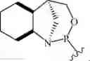 Fig. 98 - Chiral phosphoramidite auxiliaries and methods of their use