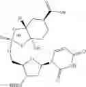 Fig. 126 - Phosphorus (V)-based reagents, processes for the preparation thereof, and their use in making stereo-defined organophosphorus (V) compounds
