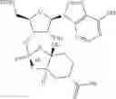 Fig. 178 - Phosphorus (V)-based reagents, processes for the preparation thereof, and their use in making stereo-defined organophosphorus (V) compounds