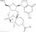 Fig. 194 - Phosphorus (V)-based reagents, processes for the preparation thereof, and their use in making stereo-defined organophosphorus (V) compounds