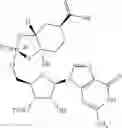 Fig. 200 - Phosphorus (V)-based reagents, processes for the preparation thereof, and their use in making stereo-defined organophosphorus (V) compounds