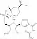 Fig. 201 - Phosphorus (V)-based reagents, processes for the preparation thereof, and their use in making stereo-defined organophosphorus (V) compounds