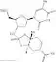 Fig. 24 - Phosphorus (V)-based reagents, processes for the preparation thereof, and their use in making stereo-defined organophosphorus (V) compounds