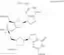 Fig. 482 - Phosphorus (V)-based reagents, processes for the preparation thereof, and their use in making stereo-defined organophosphorus (V) compounds
