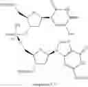 Fig. 491 - Phosphorus (V)-based reagents, processes for the preparation thereof, and their use in making stereo-defined organophosphorus (V) compounds