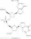 Fig. 492 - Phosphorus (V)-based reagents, processes for the preparation thereof, and their use in making stereo-defined organophosphorus (V) compounds