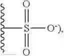 Fig. 06 - SILICON CONTAINING MODIFIED NUCLEOTIDE ANALOGS