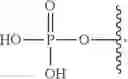 Fig. 10 - SILICON CONTAINING MODIFIED NUCLEOTIDE ANALOGS