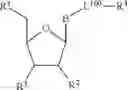 Fig. 122 - SILICON CONTAINING MODIFIED NUCLEOTIDE ANALOGS