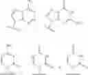 Fig. 17 - SILICON CONTAINING MODIFIED NUCLEOTIDE ANALOGS