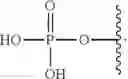 Fig. 30 - SILICON CONTAINING MODIFIED NUCLEOTIDE ANALOGS