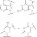 Fig. 48 - SILICON CONTAINING MODIFIED NUCLEOTIDE ANALOGS