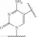 Fig. 52 - SILICON CONTAINING MODIFIED NUCLEOTIDE ANALOGS