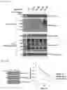 Fig. 26 - METHOD FOR EXTENDING HALF-LIFE OF A PROTEIN