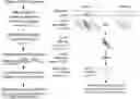 Fig. 01 - PROTEOGENOMIC-BASED METHOD FOR IDENTIFYING TUMOR-SPECIFIC ANTIGENS