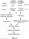 Fig. 04 - PROTEOGENOMIC-BASED METHOD FOR IDENTIFYING TUMOR-SPECIFIC ANTIGENS