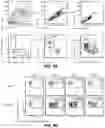 Fig. 19 - PROTEOGENOMIC-BASED METHOD FOR IDENTIFYING TUMOR-SPECIFIC ANTIGENS