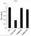 Fig. 04 - NOVEL POLYPEPTIDES WITH SKIN WHITENING ACTIVITY AND USE THEREOF