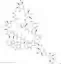 Fig. 12 - IMMUNOMODULATORS