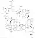 Fig. 130 - IMMUNOMODULATORS