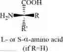 Fig. 14 - IMMUNOMODULATORS