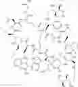Fig. 148 - IMMUNOMODULATORS