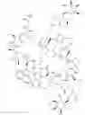 Fig. 155 - IMMUNOMODULATORS
