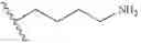 Fig. 113 - RAS INHIBITORS AND USES THEREOF