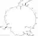 Fig. 466 - RAS INHIBITORS AND USES THEREOF