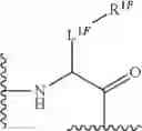 Fig. 516 - RAS INHIBITORS AND USES THEREOF