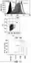 Fig. 03 - CHIMERIC ANTIGEN RECEPTOR CONSTRUCTS AND THEIR USE IN CAR-T CELLS