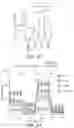 Fig. 16 - CHIMERIC ANTIGEN RECEPTOR CONSTRUCTS AND THEIR USE IN CAR-T CELLS
