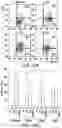 Fig. 23 - CHIMERIC ANTIGEN RECEPTOR CONSTRUCTS AND THEIR USE IN CAR-T CELLS