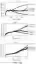 Fig. 26 - CHIMERIC ANTIGEN RECEPTOR CONSTRUCTS AND THEIR USE IN CAR-T CELLS