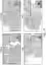 Fig. 34 - CHIMERIC ANTIGEN RECEPTOR CONSTRUCTS AND THEIR USE IN CAR-T CELLS