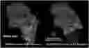 Fig. 01 - IDENTIFICATION OF BIOMIMETIC VIRAL PEPTIDES AND USES THEREOF