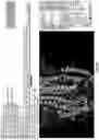 Fig. 05 - IDENTIFICATION OF BIOMIMETIC VIRAL PEPTIDES AND USES THEREOF