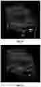 Fig. 12 - IDENTIFICATION OF BIOMIMETIC VIRAL PEPTIDES AND USES THEREOF