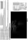 Fig. 17 - IDENTIFICATION OF BIOMIMETIC VIRAL PEPTIDES AND USES THEREOF