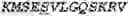 Fig. 197 - IDENTIFICATION OF BIOMIMETIC VIRAL PEPTIDES AND USES THEREOF
