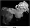 Fig. 45 - IDENTIFICATION OF BIOMIMETIC VIRAL PEPTIDES AND USES THEREOF