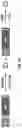 Fig. 50 - IDENTIFICATION OF BIOMIMETIC VIRAL PEPTIDES AND USES THEREOF