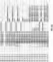 Fig. 52 - IDENTIFICATION OF BIOMIMETIC VIRAL PEPTIDES AND USES THEREOF
