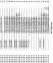 Fig. 53 - IDENTIFICATION OF BIOMIMETIC VIRAL PEPTIDES AND USES THEREOF