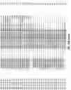 Fig. 55 - IDENTIFICATION OF BIOMIMETIC VIRAL PEPTIDES AND USES THEREOF