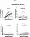 Fig. 18 - ZIKA VIRAL ANTIGEN CONSTRUCTS